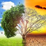 Climate change paragraph