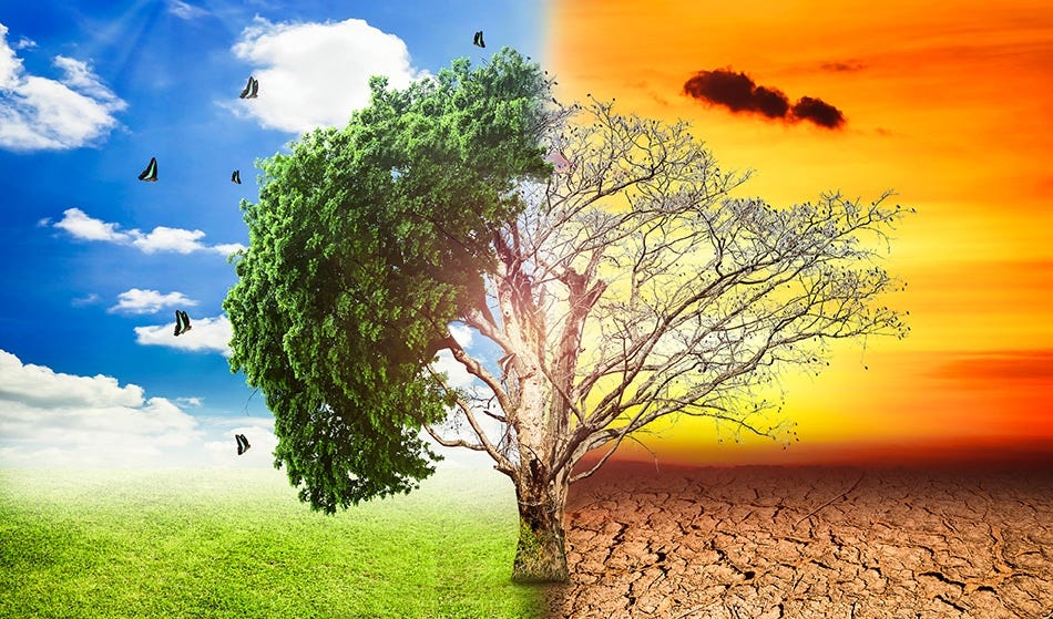 Climate change paragraph